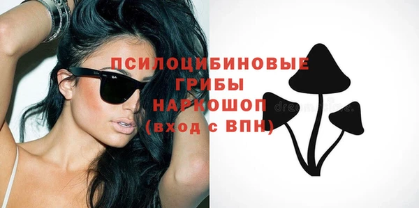 мяу мяу мука Гусь-Хрустальный