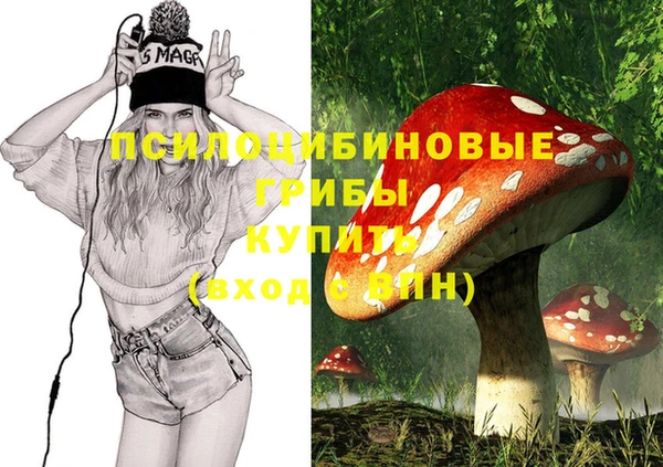 СК Гусев