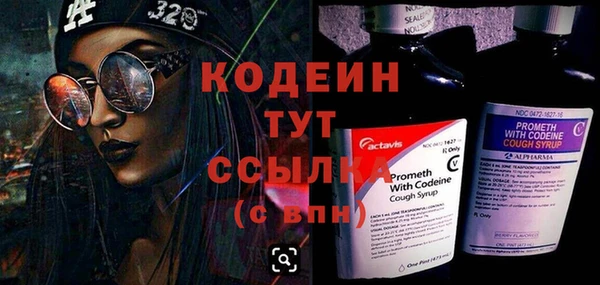 СК Гусев