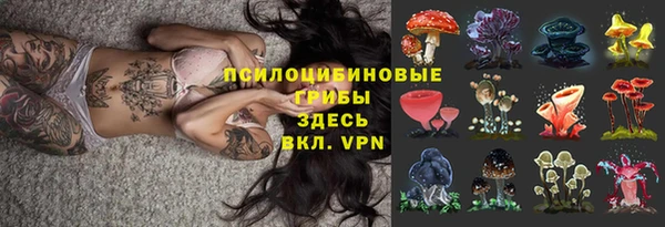 СК Гусев