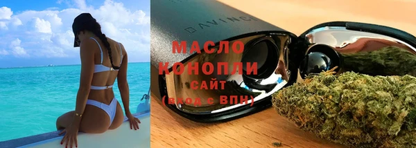 мяу мяу мука Гусь-Хрустальный
