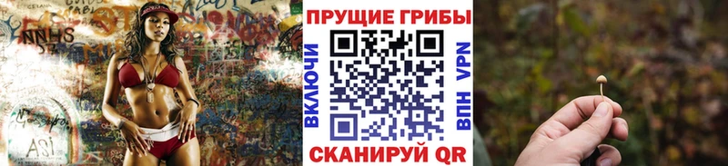 Псилоцибиновые грибы Psilocybine cubensis  Купить  Керчь 